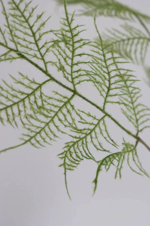 Bloom Objects - Artificial Fern Plant 02-110 - Green Dekoration 