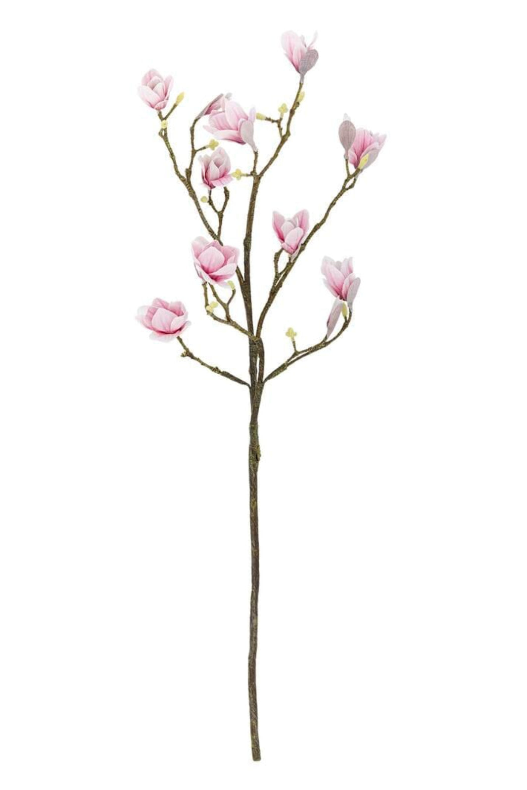 Bloomingville - Magnolia Gren, Rosa, Kunstige Blomster 82072844 - Rose