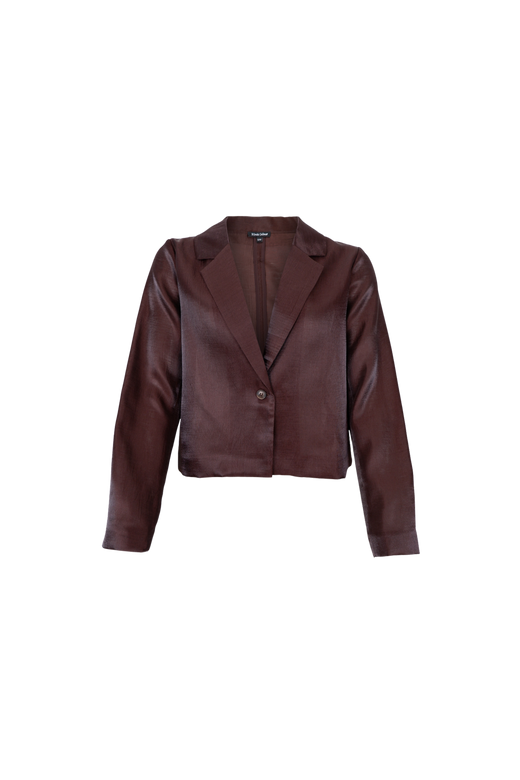 Black Colour - Bcolympia Sheer Blazer 41344 - Coffee