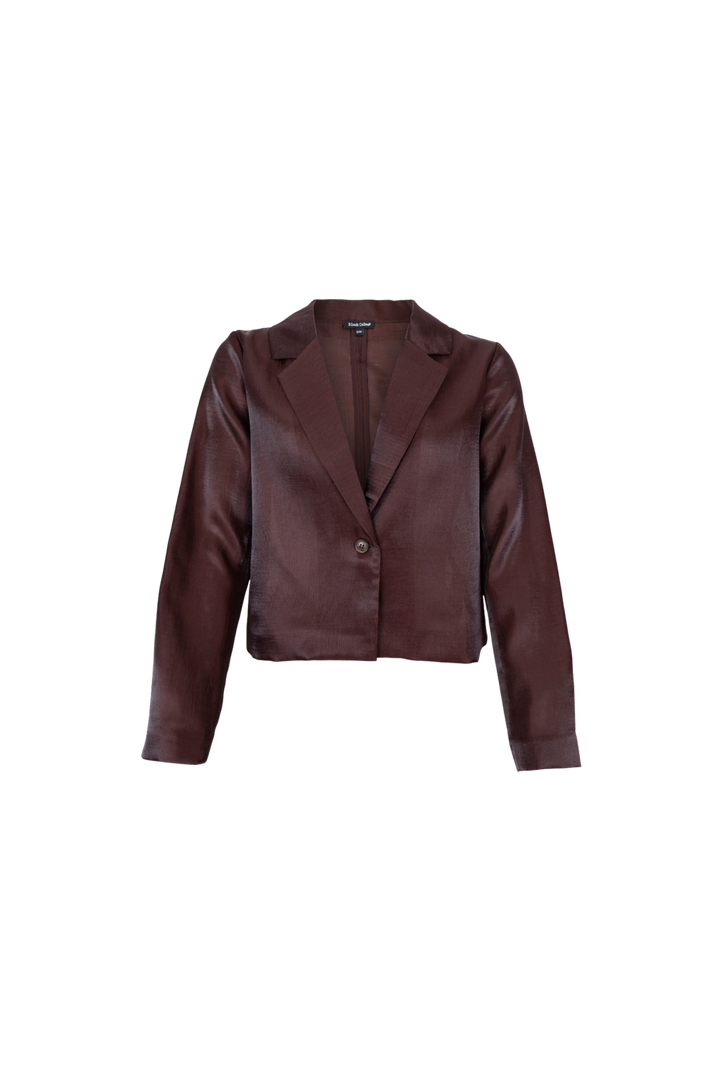 Black Colour - Bcolympia Sheer Blazer 41344 - Coffee